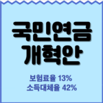 파란색 네모안에 검정글씨로 국민연금 개혁안이라고 써있고 그아래에는 보험료율 13% 소득대체율 42%라고 서있습니다.